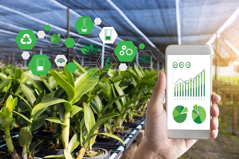 Agritech startup wins venture building spots in Hackathon