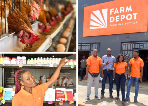 Zambia: How Farm Depot grew from a pickup truck to a 26-branch retail chain for farmers