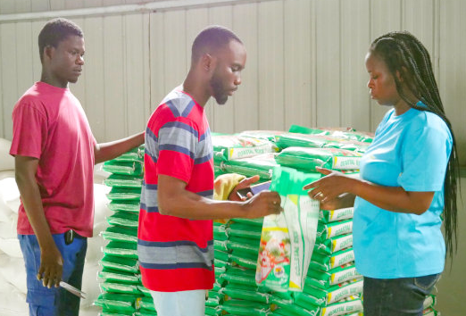 Young Ghanaian Entrepreneurs Turn to Local Rice to Challenge Imports